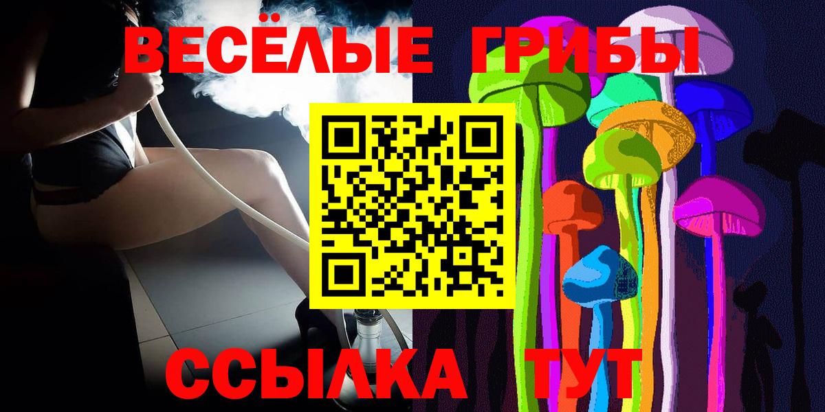 Псилоцибиновые грибы Psilocybe Алексеевка